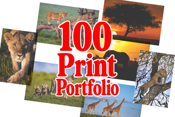 100 Print 17x22 inch Portfolio Hand Delivered by Jared (US ONLY)