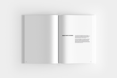 Book 2: 22 Years of Music Photography (SALE)